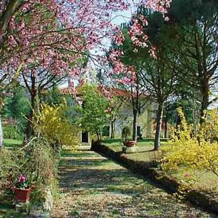 L'arco *